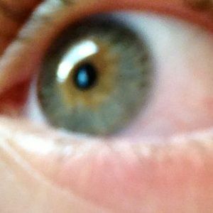 Meet your Posher, Sebastian